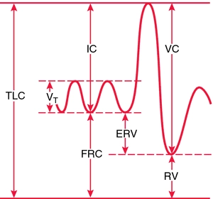  Subdivisions av total lunga kapacitet: TLC, total lunga kapacitet; V, tidal volym; IC, inspiratory kapacitet; FRC, functional residual kapacitet; ERV, expiratorisk reserve volym; VC, vital kapacitet; RV, residual volym.